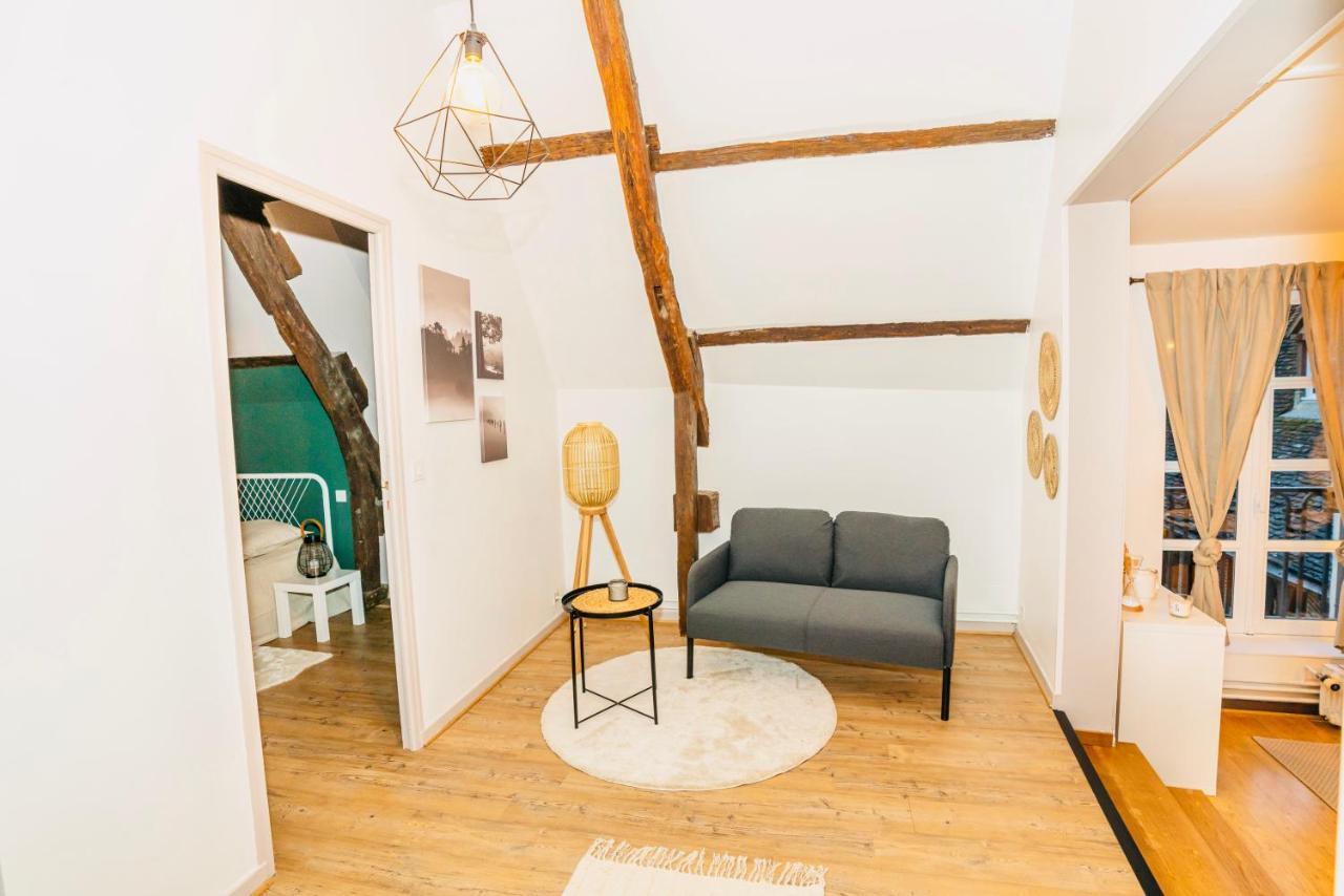 Nid Douillet La Cour Du Dauphin, Vue Cathedrale Imprenable Appartement *